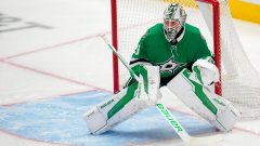 Даллас Старс - Юта. Прогноз на матч 29.11.2025