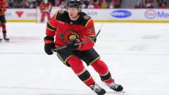 Даллас Старс - Оттава Сенаторс. Прогноз на матч 01.12.2025