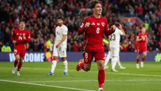 Уэльс - Босния и Герцеговина. Прогноз на матч 26.03.2026