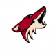 Логотип Аризона Койотс