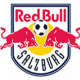Логотип Ред Булл